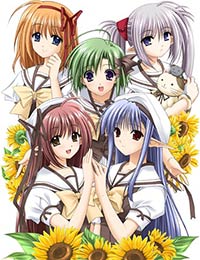 Shuffle! [Audio: Eng]