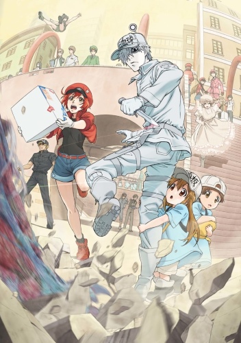 Cells at Work (Hataraku Saibou) - Season 1 [Sub: Eng]