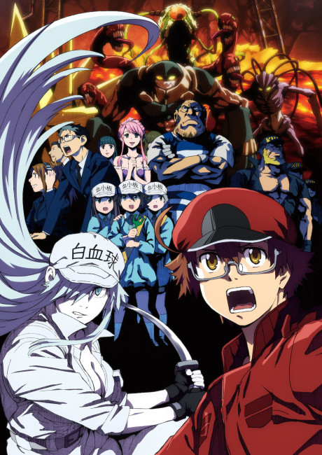 Hataraku Saibou Black [Sub: Eng]